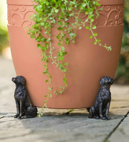 Cute Animal Shaped Pots Feet