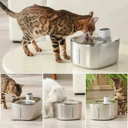 Pet Water Dispenser