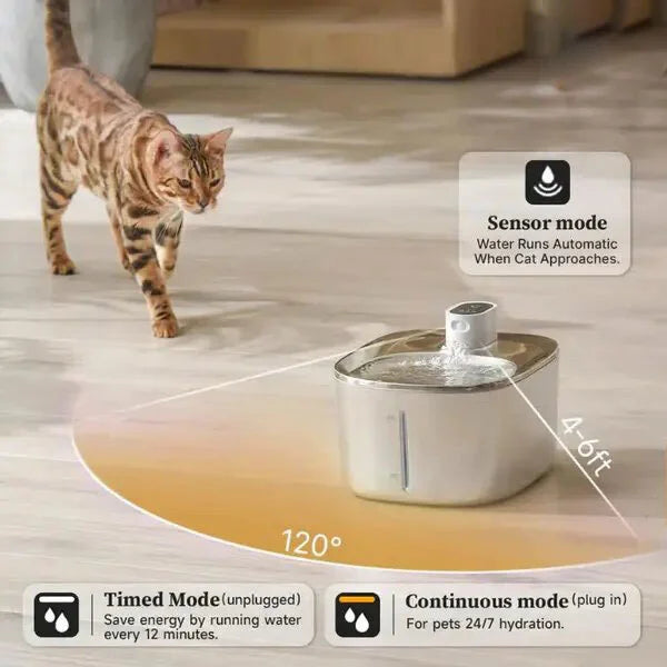 Pet Water Dispenser