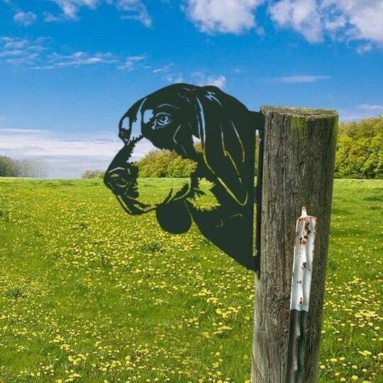 Farm Peeping Animal Metal Art