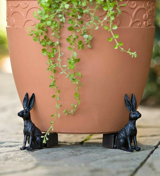 Cute Animal Shaped Pots Feet