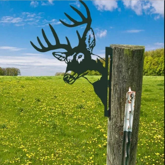 Farm Peeping Animal Metal Art